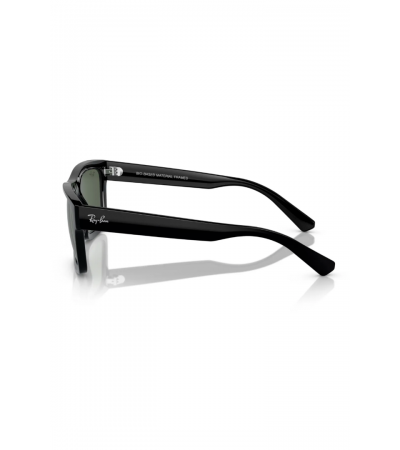 Rayban 4396 6677 71 5720 Güneş Gözlüğü